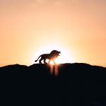 le client est roi en marketing digital voici pourquoi