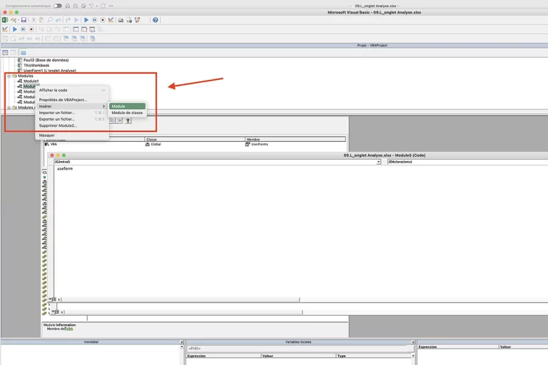 Capture d'écran de l'utilisation de la fonction VBA dans Microsoft Excel.