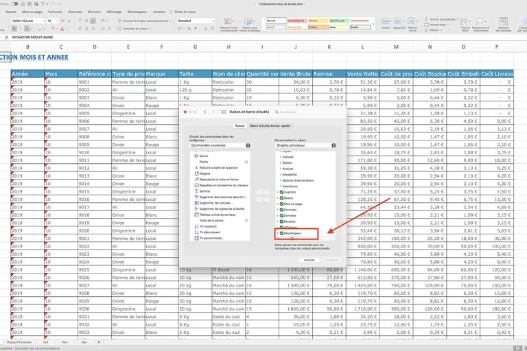 Capture d'écran de Microsoft Excel montrant comment ajouter l'onglet "Développeur".