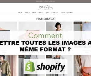 Comment mettre toutes les images au même format sur Shopify